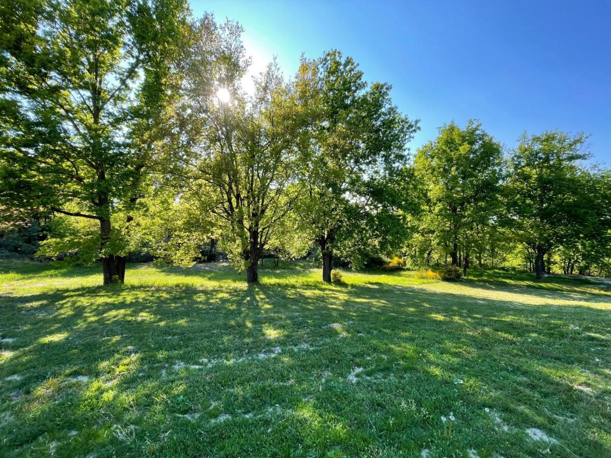 La Villa Perroquet Poncins Exteriér fotografie